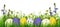Easter eggs, grass and wild flowers border