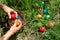 Easter eggs in the grass. A woman`s hands arrange and decorate the eggs in the grass