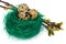 Easter eggs in green bird nest with blooming twigs.