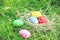 Easter eggs hunt on green grass outdoor Nest egg colorful decorated festive on meadow