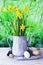 Easter eggs, metal vintage jug with a bouquet of fresh blooming yellow daffodils on a wooden table against the background of green