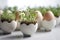 Easter eggs with microgreen sprouts in eggshells. AI generated