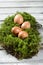 Easter eggs on moss, Easter nest