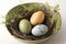 Easter eggs in natural nest. Green buds spring brunches traditional Easter decoration holiday. Wooden ceramic still life