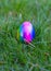 Easter eggs in the nest,Colorful eggs in the grass,