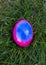 Easter eggs in the nest,Colorful eggs in the grass,