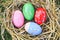 Easter eggs in the nest egg colorful decorated festive tradition on green grass