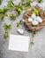 Easter eggs in nest with spring twigs and blank white paper card