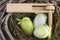 Easter eggs in nest with traditional easter instrument - rattle - clapper