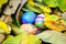 Easter eggs painted by child