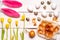 Easter eggs painted with natural dye, onion husk on a white wooden background and yellow spring flowers Narcis