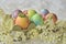 Easter Eggs in Pastel Colors with a Tiny Flower in a Cracked Shell and Plum Blossoms