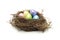 Easter eggs in real bird nest