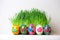 Easter eggs. Stand in one line. Behind them the green grass
