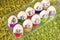 Easter eggs on the theme of coronavirus, painted funny masked faces on Easter eggs, decorated for Easter