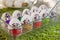 Easter eggs on the theme of coronavirus, painted funny masked faces on Easter eggs, decorated for Easter