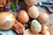 Easter eggs, traditional way of coloring with onion and decorating with herbs