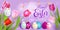 Easter eggs on violet background