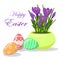 Easter eggs and violet crocuses in yellow flowerpot. Groving up saffron flowers