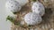 Easter eggs on a white background with flowers. Easter decor. white eggs with black pattern. beautiful easter decoring.