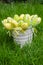 Easter eggs in white pail on grass