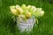 Easter eggs in white pail on grass