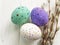 Easter eggs willow rustic on white wooden festive