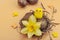 Easter eggs, wooden bunnies and bird\\\'s nest with chicken and narcissus flower. Festive concept