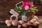 Easter eggs with wooden rabbit and primula flowers in pot