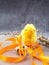 Easter eggs, yellow chicken toy, willow- the symbol of Easter