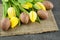 Easter eggs and yellow tulips on burlap cloth.