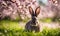 Easter enchantment: Rabbit in a spring blossom field