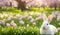 Easter enchantment: Rabbit in a spring blossom field