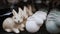 Easter fair. close-up. Different funny Easter bunny figurines, statuettes. traditional european easter decor and