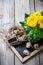 Easter festive composition with flowers and quail eggs