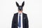 Easter fetish concept with businessman in bunny mask