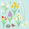 Easter flowers, butterflies and robin\'s nest