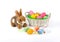 Easter - Fluffy bunny and basket with painted eggs