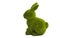 easter green bunny isolated