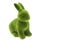 Easter green bunny isolated