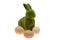 Easter green bunny isolated