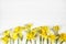Easter greeting card, invitation. Closeup of yellow daffodils, narcissus flowers lying on white wooden table background