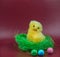Easter greeting image. Chicken in green grass