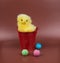 Easter greeting image. Chicken with red bascet