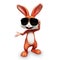 Easter happy bunny with sunglass