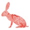 Easter hare