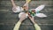 Easter hare and eggs on a wooden table. Happy easter. Close-up of the hands that feed Easter rabbits. Feed animals with