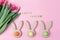 Easter holiday background with colored eggs in bunny ears shaped egg cups, pink flowers tulip , Happy Easter wooden