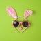 Easter holiday concept with bunny ears and sunglasses