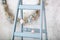 Easter holiday. Home decor blue  ladder and eggs garland background. Decorative diy wooden symbol. Decorative wooden ladder. Sprin